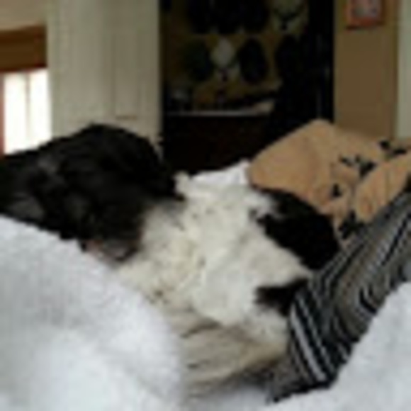 Meet your Posher, Tina - Picture 1 of 1